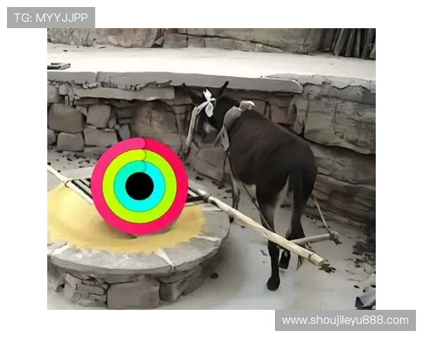 乐鱼乐鱼娱乐游戏类型丰富多样满足不同玩家的娱乐需求