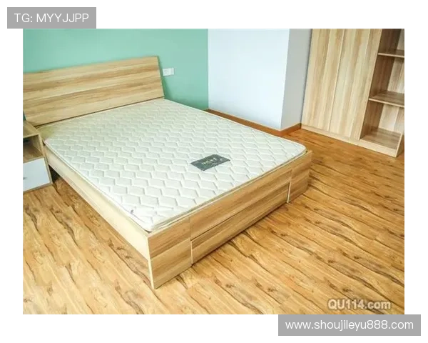 乐鱼下载网址导航带你轻松找到正规下载安装渠道保障使用体验