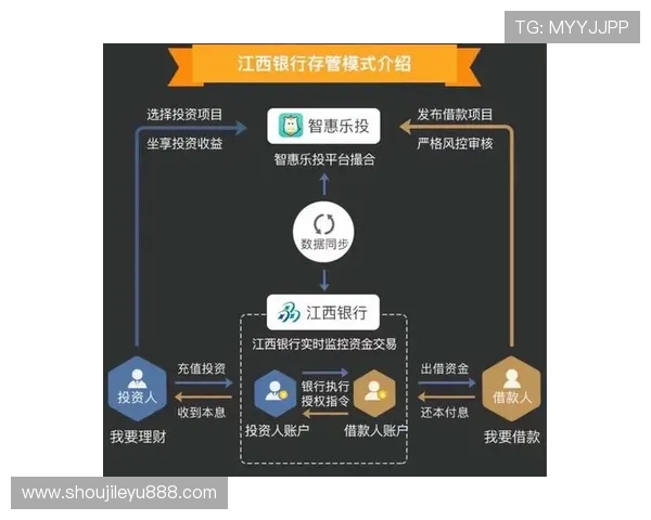乐投线路详细解析带你了解不同线路的优势与选择技巧 乐投线路详细解析带你了解不同线路的优势与选择技巧