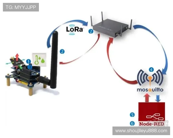 乐鱼网址登录线路异常导致的在线游戏中断解决方法指南 乐鱼网址登录线路异常导致的在线游戏中断解决方法指南