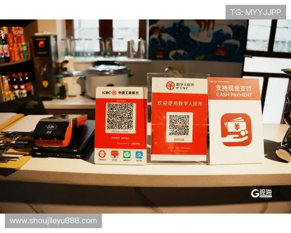 乐鱼体育平台支付方式多样化:支持多种快捷支付方式确保资金安全