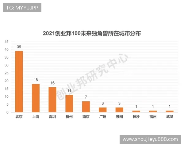 乐鱼平台资助大巴黎对青训体系建设的支持作用及未来发展方向探讨