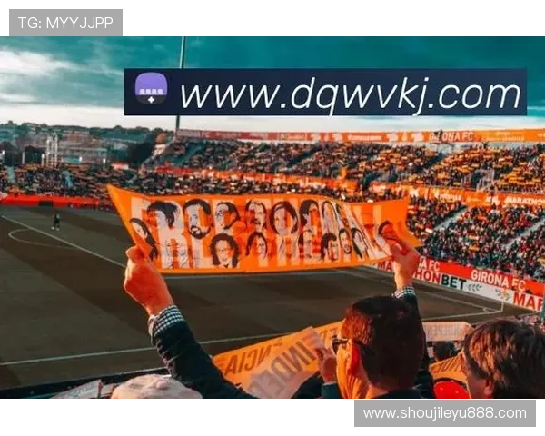 乐鱼网站地址导航2024版，便于用户快速找到官方入口享受优质娱乐